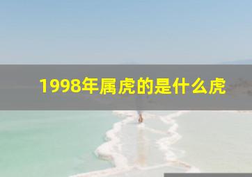 1998年属虎的是什么虎