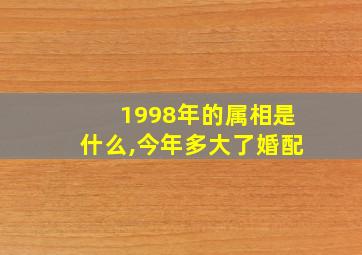 1998年的属相是什么,今年多大了婚配