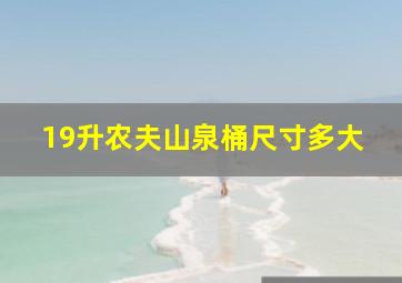 19升农夫山泉桶尺寸多大