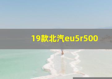 19款北汽eu5r500