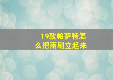 19款帕萨特怎么把雨刷立起来