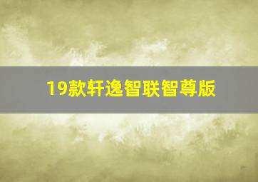 19款轩逸智联智尊版