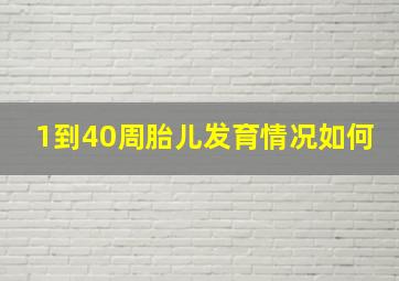 1到40周胎儿发育情况如何