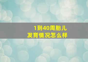 1到40周胎儿发育情况怎么样