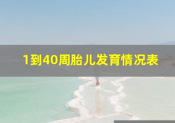 1到40周胎儿发育情况表