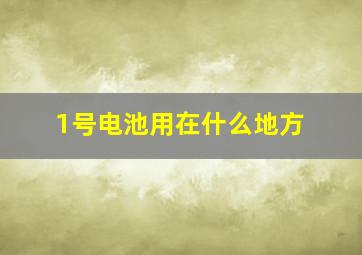 1号电池用在什么地方