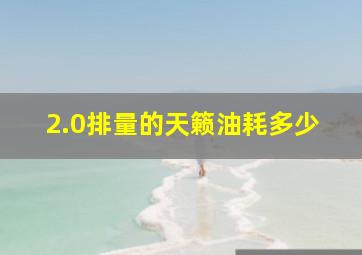 2.0排量的天籁油耗多少