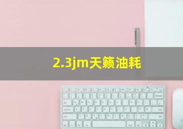 2.3jm天籁油耗