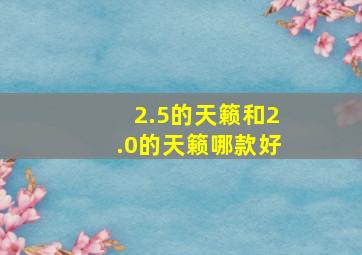 2.5的天籁和2.0的天籁哪款好