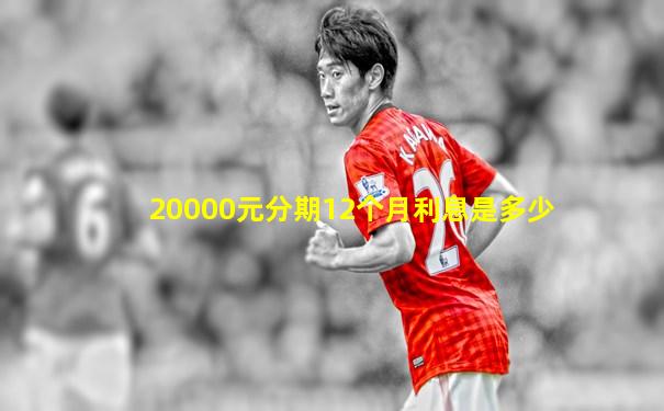 20000元分期12个月利息是多少