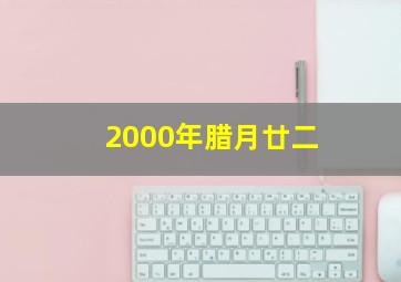 2000年腊月廿二