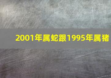 2001年属蛇跟1995年属猪