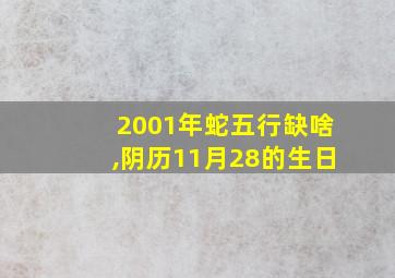 2001年蛇五行缺啥,阴历11月28的生日