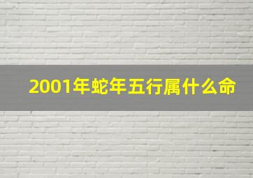 2001年蛇年五行属什么命