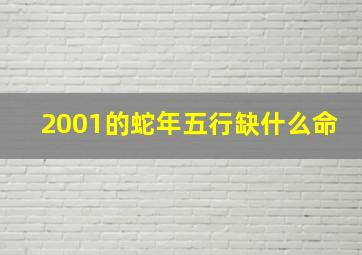 2001的蛇年五行缺什么命