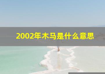 2002年木马是什么意思