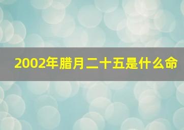 2002年腊月二十五是什么命