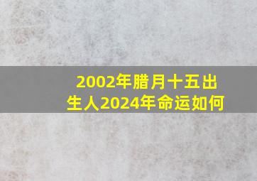 2002年腊月十五出生人2024年命运如何