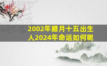 2002年腊月十五出生人2024年命运如何呢