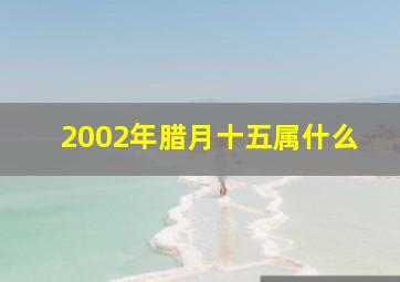 2002年腊月十五属什么