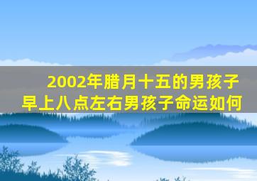 2002年腊月十五的男孩子早上八点左右男孩子命运如何