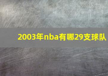 2003年nba有哪29支球队