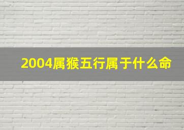 2004属猴五行属于什么命