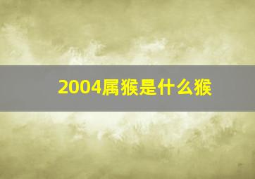 2004属猴是什么猴