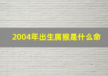 2004年出生属猴是什么命