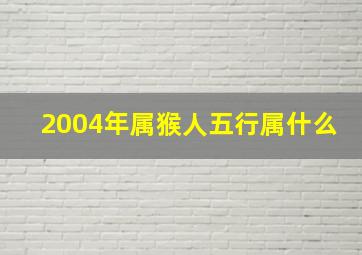 2004年属猴人五行属什么