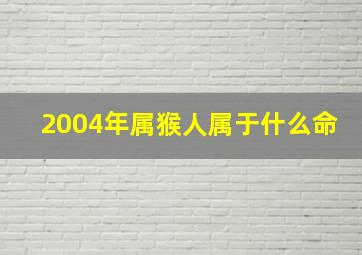 2004年属猴人属于什么命