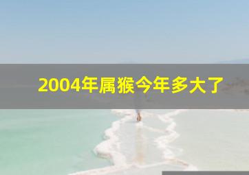 2004年属猴今年多大了