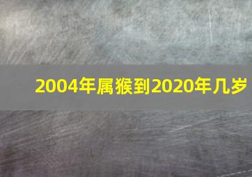 2004年属猴到2020年几岁