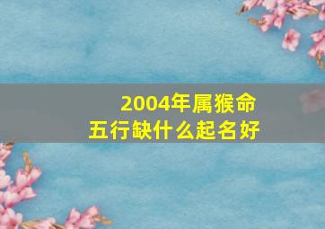 2004年属猴命五行缺什么起名好