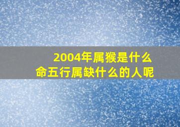 2004年属猴是什么命五行属缺什么的人呢