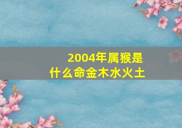 2004年属猴是什么命金木水火土