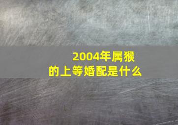 2004年属猴的上等婚配是什么