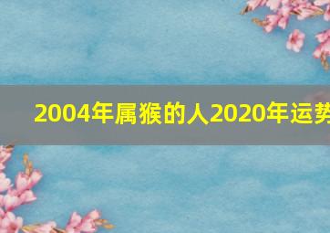 2004年属猴的人2020年运势