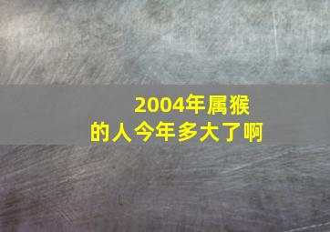 2004年属猴的人今年多大了啊