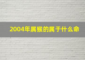 2004年属猴的属于什么命