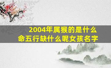 2004年属猴的是什么命五行缺什么呢女孩名字