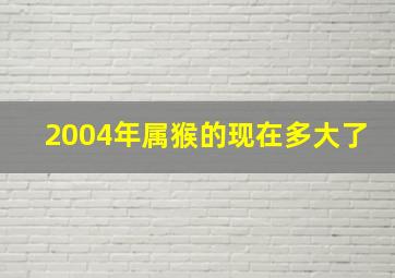 2004年属猴的现在多大了