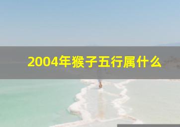 2004年猴子五行属什么