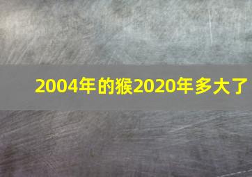 2004年的猴2020年多大了