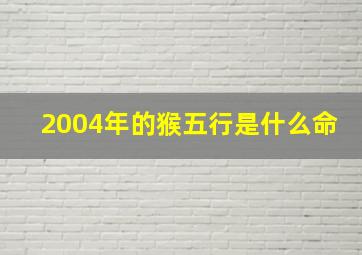 2004年的猴五行是什么命