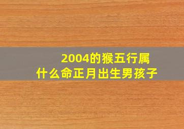 2004的猴五行属什么命正月出生男孩子