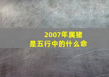 2007年属猪是五行中的什么命