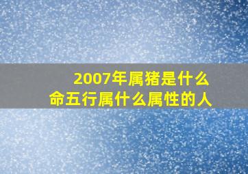 2007年属猪是什么命五行属什么属性的人