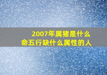 2007年属猪是什么命五行缺什么属性的人