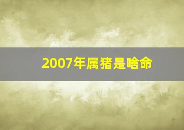 2007年属猪是啥命